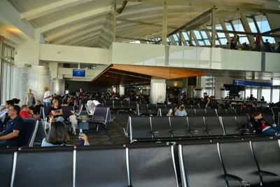 DSC_4068 (Large).JPG